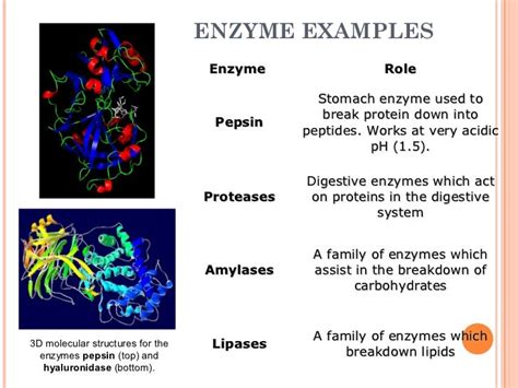 Enzymes