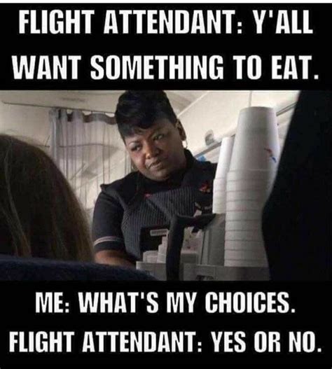 Funny Quotes About Flight Attendants - MCgill Ville