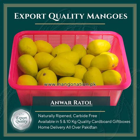 Anwar Ratol Mango انور رٹول Export Quality - Mangonation.pk