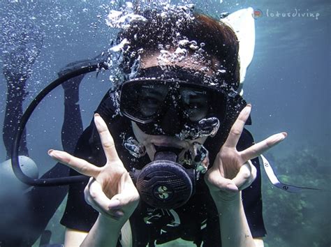 7 Best Diving Schools in Koh Phangan - 2024 Review