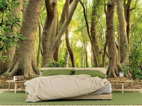 Bedroom Forest Murals By HD Wallpaper Pxfuel, 41% OFF