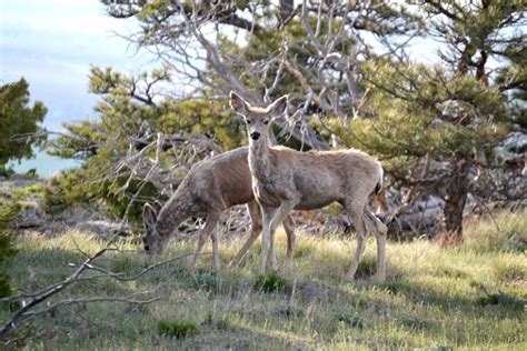 Scotts Bluff National Monument - Bryan Berg