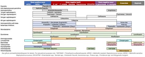 Antibiotics - Physiopedia