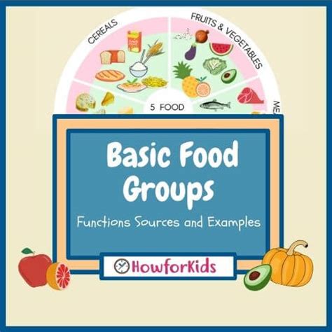 What are the Five Basic Food Groups? – HowForKids