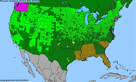 2013 BONAP North American Plant Atlas. TaxonMaps