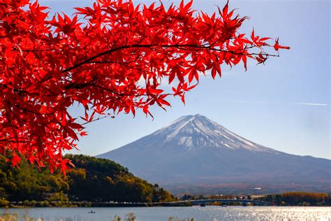 Travel Photography Tips for Capturing Fall Colors in Japan