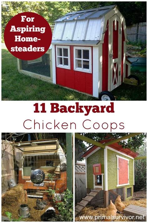 11 Backyard Chicken Coop Ideas for Aspiring Homesteaders | Backyard ...