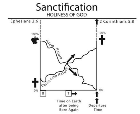 The Doctrine of Santification: Progressive, Entire, or a Lie? — The ...