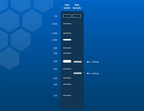 LabXchange