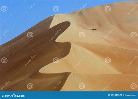 Sand Dunes of Rub Al Khali Desert Stock Photo - Image of land, plants: 107091072