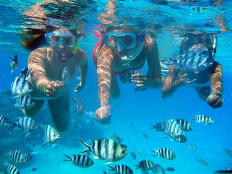 Bora Bora Group Snorkeling Tours & Cruises | Reef Discovery