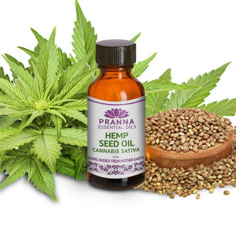 Hemp Seed Oil | PRANNA ESSENTIAL OILS