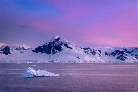 25 Wild Photos That Will Convince You To Visit Antarctica • Expert Vagabond