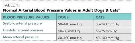 normal cat blood pressure map - Larue Haller