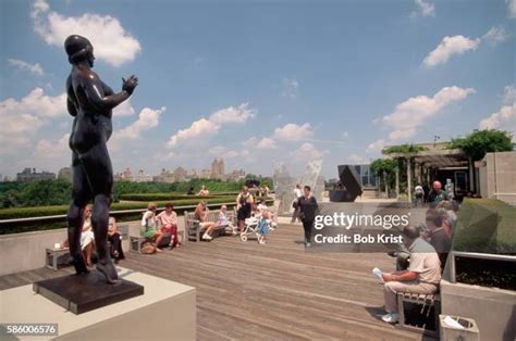 149 Metropolitan Museum Of Art Roof Garden Stock Photos, High-Res ...