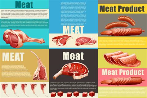 Infographic met verschillende soorten vlees 292704 Vectorkunst bij Vecteezy