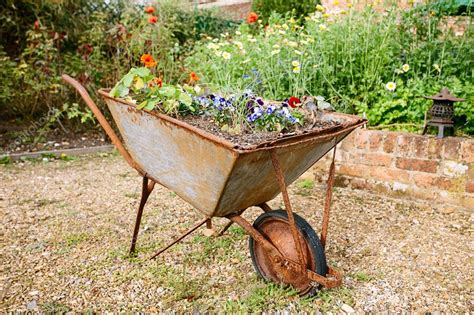 Decorative garden wheelbarrow with flowers — Stock Photo © lvenks #7986128