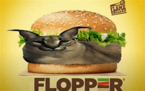 Floppa Flopper GIF - Floppa Flopper Flopper Burger - Discover & Share GIFs