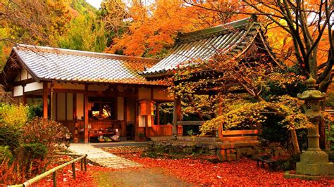 . Colorful Wallpaper, Art Wallpaper, Free Background Music, Japan Garden, Image Nature, Autumn ...