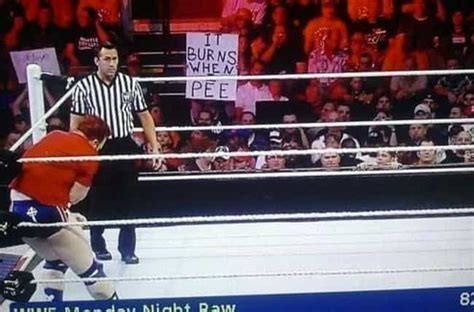 The 28 Funniest WWE Fan Signs Ever