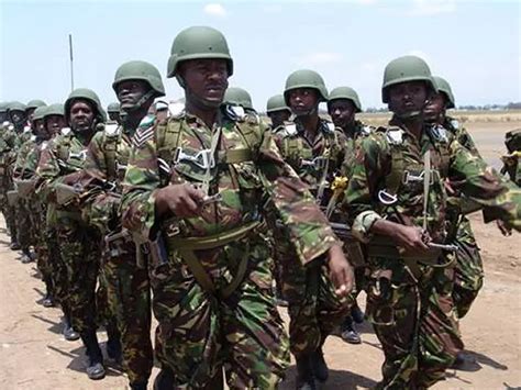 Kenya Kenyan Army defence force ranks military pattern camouflage ...