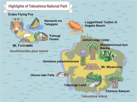 Yakushima (Island) National Park_Guide of Highlights [MOE]