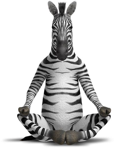 Why Zebras Don't Get Ulcers and Why do I care?