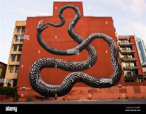 Snake Graffiti in Perth, Western Australia Stock Photo - Alamy