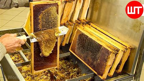 How It's Made Honey | Honey Cultivation and Processing - YouTube