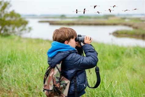 13 Monstrous Reasons to Start Birdwatching From Today - Conserve Energy ...