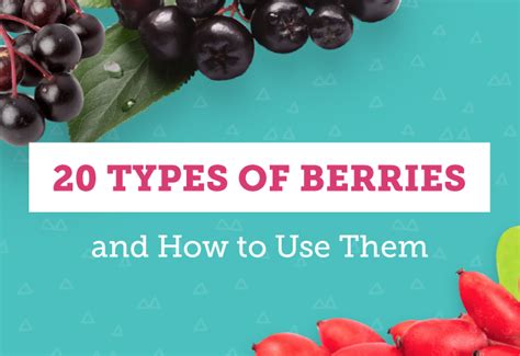 20 Types of Berries and Ways to Use Them - Shari's Berries Blog