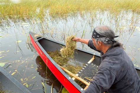 Here's How The Red Lake Indian Reservation Dines Off The Land