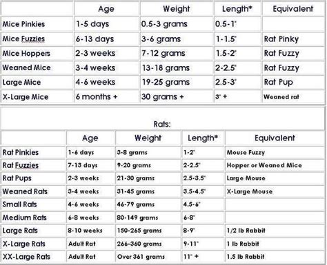 Bearded Dragon Food Chart \x3cb\x3ebearded dragon feeding schedule chart\x3c/b\x3e image gallery ...