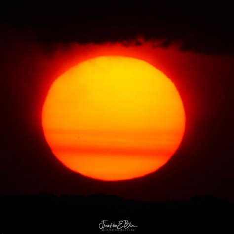 Sunspot #AR2767 Cycle 25 - Bliss Photographics Sun