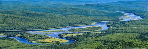 Northern Maine Bear Hunting & Canoe Trips - Allagash Guide Service