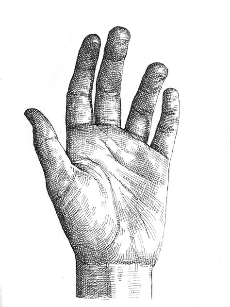 Crosshatching: How to draw a hand - Artists & Illustrators