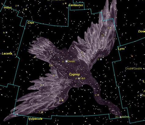 Cygnus is a prominent constellation in the northern sky. Its name means ...