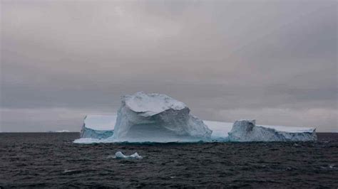 The Antarctic Ocean – Southern Ocean Facts