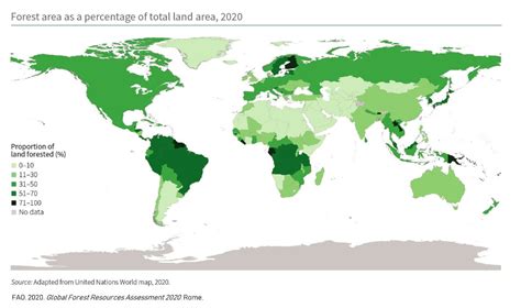 Sure, Heres A Blog Post Title In Vietnamese That Incorporates Your Keyword The Forest World Map ...