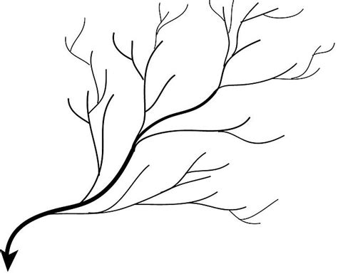 File:Dendritic Drainage pattern.jpg - Wikimedia Commons