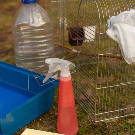 Cleaning your Birds Cage - Tips » Petsoid