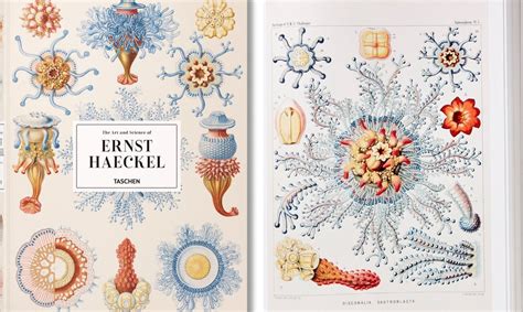 19th-Century Scientific Illustrations by Ernst Haeckel Marry Art & Science