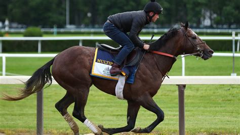 Belmont Live Stream: How to Watch 2017 Race Online