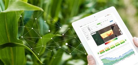 7 Key Benefits of Farm Management Software- AGRIVI