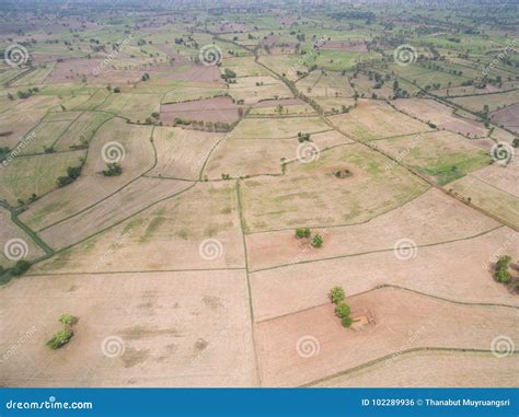 Aerial View from Drone. Rice Field after Harvest Stock Photo - Image of ...