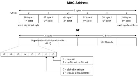MAC Address Lookup Tool