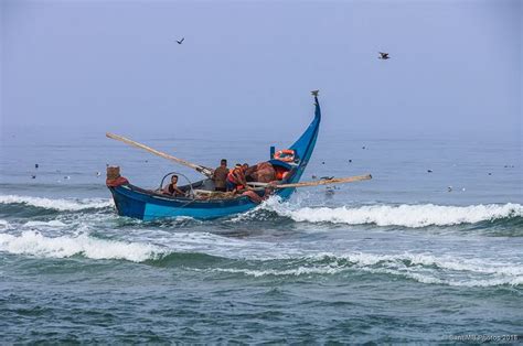 Arte Xávega, pesca artesanal en Portugal | Pesca, Barcos de pesca, Arte histórico