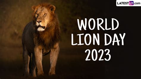 Festivals & Events News | When Is World Lion Day 2023? Everything to Know About The Important ...