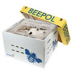 Beepol Bumblebee Hive - Harrod Horticultural (UK)