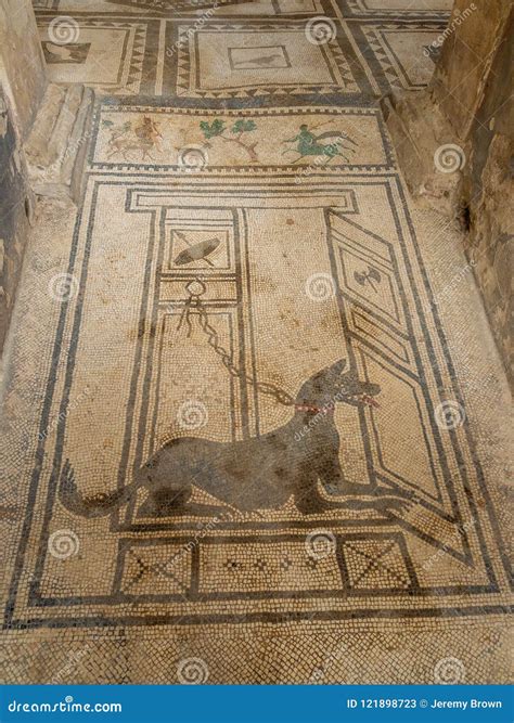 Roman Mosaics in Pompeii, Italy. World Heritage List. Stock Image ...